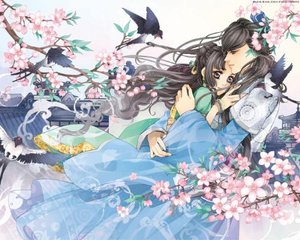 小蓝鸟网页版下载